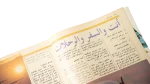 Diving and Fishing For Amateurs - Howa wa Heya Magazine - Image 5