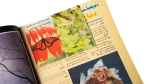 1991 Howa wa Heya Youth Magazine Issue 118 - Image 6