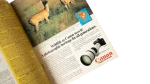 1983 National Geographic Magazine Vol 164 No 3 - Image 4