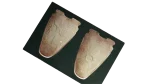 Narmer Palette Ancient Egypt Postcard - Image 2