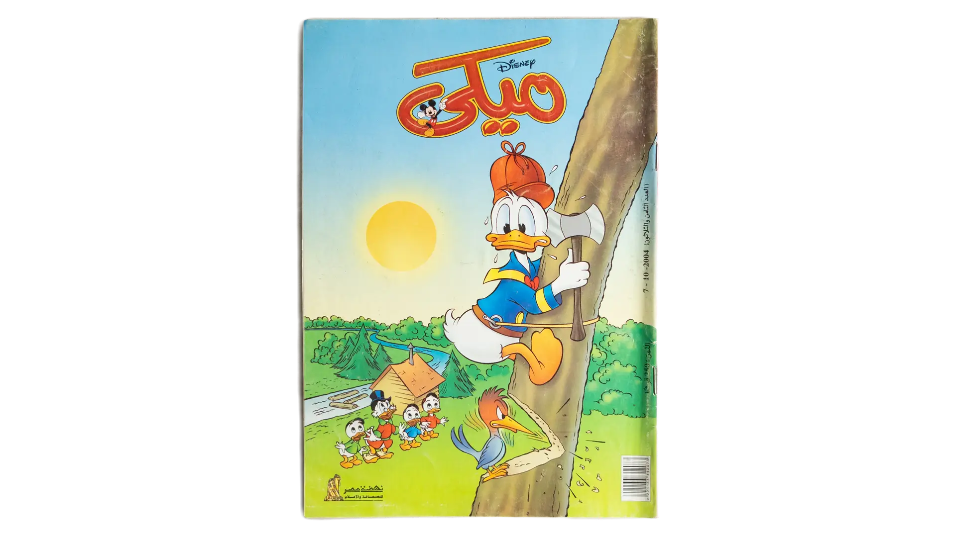 45 DSC02875 45 Mickey Comic - Donald Duck Camping - Image 1
