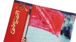 33 Cup Championships Al-Ahram Al-Riyady - Image 2