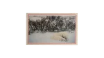 Sleeping Polar Bear Postcard