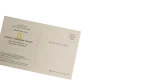 Sleeping Polar Bear Postcard - Image 6