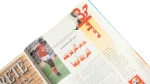 33 Cup Championships Al-Ahram Al-Riyady - Image 11