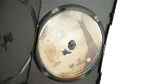 The Lord of the Rings: Two Towers DVD 2002 - Image 6