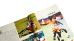 25th African Cup of Nations  Al-Ahram Al-Riyady 2006 - Image 4