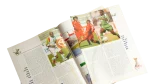 25th African Cup of Nations  Al-Ahram Al-Riyady 2006 - Image 7