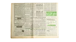 Peace Talks in the Occupied Territories - Al-Wafd Newspaper - Image 3